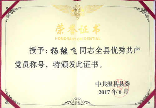 杨继飞2017年度被评为全县优秀共产党员称号